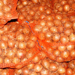 Zwiebel verpackt in Netzen